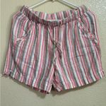 Briggs New York  Multicolor Striped Women's Shorts Photo 0