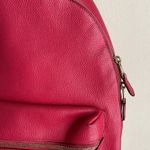 Coach Charlie Pebbled Leather Medium Backpack Photo 4