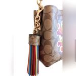 Coach  Brown Crossbody Bag with Rainbow Design Photo 4