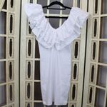 ZARA  White Eyelet Ruffle Collar Bodycon Mini Dress NWOT Photo 2