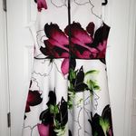 REED Floral Print Scuba Skater A Photo 4