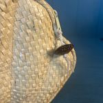 Vintage Genie Purse Photo 4