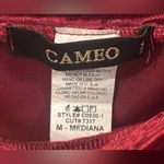 Cameo  Velvet Burgundy Dress Photo 2