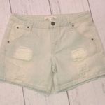 Life in Progress  de in shorts Photo 0