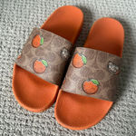 Coach  Udele Sport Slide In Signature Canvas With Fruit Print car29 Photo 0