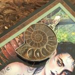 Fossil Ammonite  Silver Pendant Photo 0