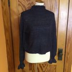 BB Dakota  Steve Madden Sparkly Sweater Photo 10