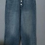 BLANK NYC NWT  Blue Jeans The Baxter Size 30 Ribcage Straight Leg Photo 0
