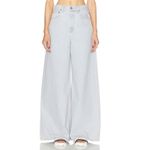 AGOLDE NWT  Nolan Jean in Balloon‎ Size 31 Wide Leg Light Wash Photo 1