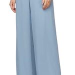 Alex Evenings  flowy chiffon wide leg pants 3X lined Photo 0