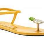 Katy Perry  Pineapple Jelly Sandals Photo 0