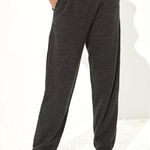 American Eagle  Outfitters Gray Fleece Pants Photo 0