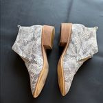 Ccocci  Snakeskin Ankle Booties in Black and Cream Photo 2