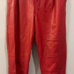 ZARA Red Faux Leather Pants Photo 0