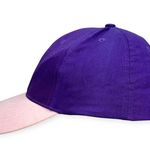 Kitson Los Angeles | Y2K Rainbow Apples Adjustable Strap Back Baseball Cap Hat Purple Photo 5