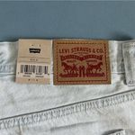 Levi's NWT Levi’s ’94 Baggy Carpenter Light Wash Straight Leg Denim Jeans Photo 7