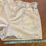Anthropologie  Pilcro Denim Shorts size 14 Photo 6