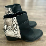 Black Booties with Faux Snakeskin Design In Women’s Size 10, Perfect for Fall Photo 0