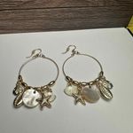 ALEX AND ANI Beachcomber Dangle Drop Pierced Earrings Seashell Charm Gold Tone Photo 8