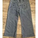 Pilcro and the Letterpress  Cropped wide leg Jeans size 29 Photo 0