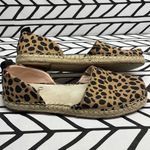 Toms x Claire V. Leopard Print Size 7.5 Photo 0