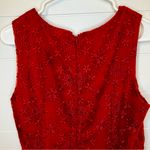Forever 21 Red Floral Lace Dress Holiday Party Christmas Photo 7