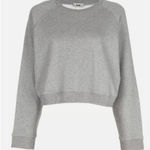 Acne Studios  Grey Hobie Crop Sweatshirt with Silk Back Sz. S Photo 0