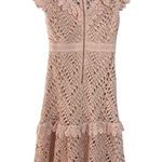 Champagne & strawberry lace pink dress Photo 1