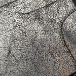 Helmut Lang  cracked paint lamb leather pull on pants size 0 Photo 4