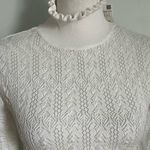 ZARA Knit • White Stretchy Lace Turtleneck Photo 1