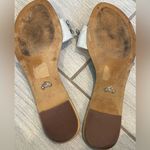 ALDO Disney X  Cinderella Curfew-who Slide Sandal Photo 11