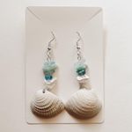 Real Seashell Earrings Photo 0