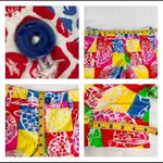Lilly Pulitzer Callahan Turtle Cute Fun Summer Patchwork Shorts Size 00 Photo 5
