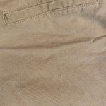 Torrid  Beige Linen Blend Pleat Front Self Tie Belted Shorts Photo 4