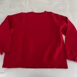 Jansport Wisconsin Hoodie Photo 2