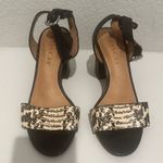 Coach  Paige Leather and Black and White Snake Block Heel Sandals Size 5 Photo 2