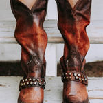 FREEBIRD by Steven Falcon Photo 0