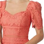 Saylor Louisa Lace Midi Dress Photo 2