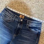 Driftwood  Size 28 Gizelle Classic Fit Girlfriend Denim Jeans Photo 9