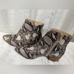 City Classified Women’s 9 Snakeskin Ankle Boot Gray Photo 4
