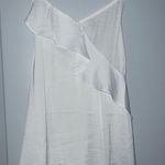 Naked Zebra Shirt Photo 0