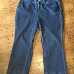 Lane Bryant  24R straight leg dark wash jeans Photo 0