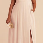 Birdy Grey  Doris Chiffon Dress Pale Blush Maxi Gown Size 3XL Formal Photo 0