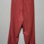 Lane Bryant Allie spice tailored ankle belted pants size 24 Photo 2