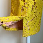 Anthropologie Maeve Gardenia Lace Column Sheath Dress Yellow Gold Size 6 Photo 8