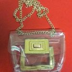 Clear Square Side Bag With Gold Chain. Preowned Photo 0