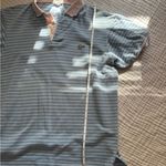 Lacoste Light Blue and Pink Striped Polo Photo 1