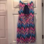 Lilly Pulitzer  Kirkland Hearts a Flutter Dress Photo 4