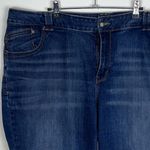 Lane Bryant GeniusFit Straight Leg Jeans (Petite) size 26 Photo 1