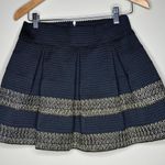 Ginger G Black & Gold Pleated Skirt Photo 0